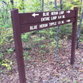 Blue Heron, Big South Fork